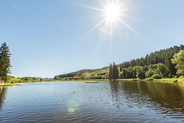 Ettwieser Weiher