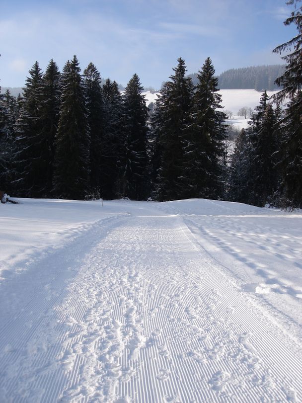 Winterlandschaft am Hanusel Winterwanderweg (5)