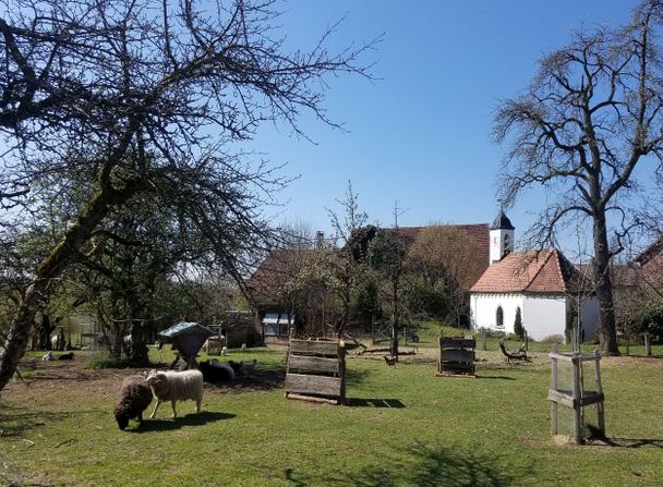 Dorfidylle in Humbrechts