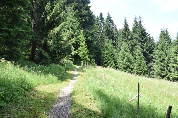 Kappeler Höhenweg