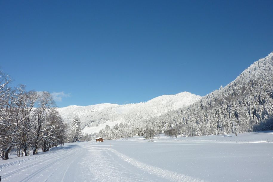 Traumloipen in Balderschwang