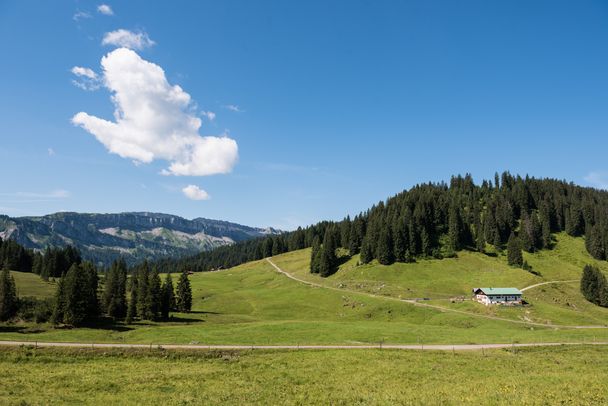 Alpe Dinjoergen bei Obermaiselstein