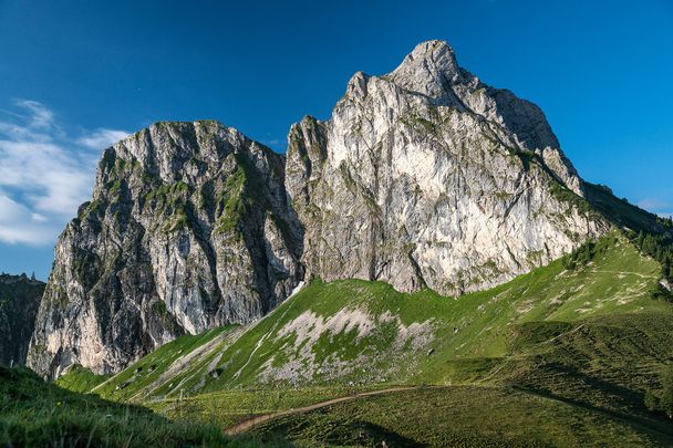 Blick auf den Aggenstein vom Breitenberg