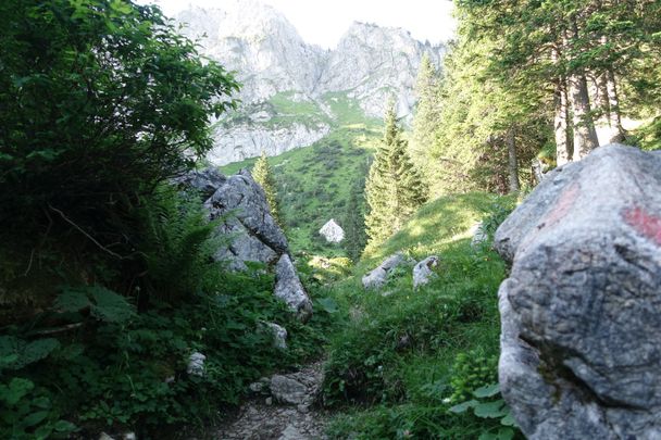 Markierung am Wanderweg in Richtung Aggenstein