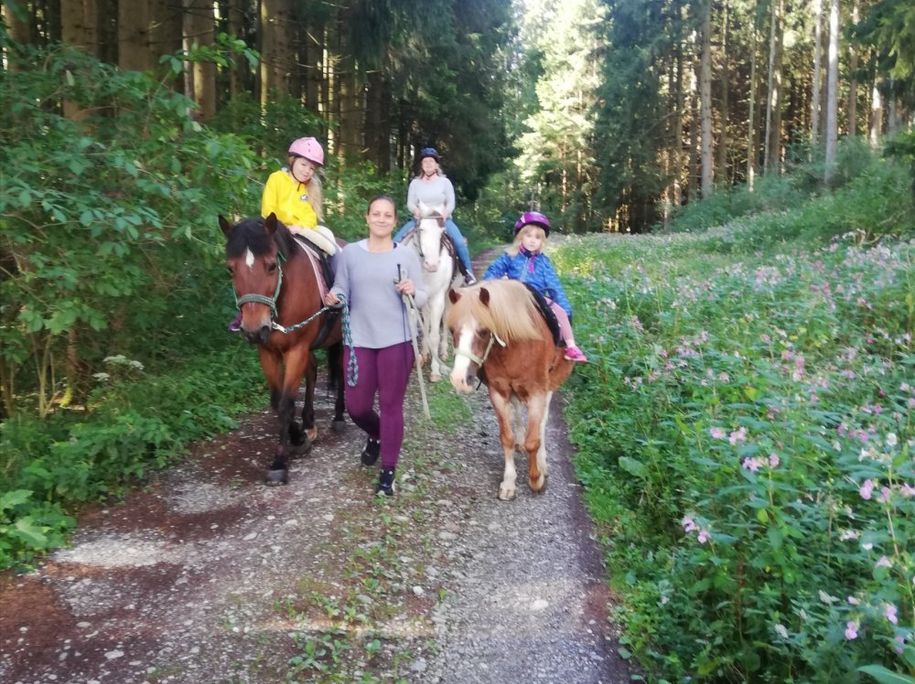 Geführtes Ponyreiten