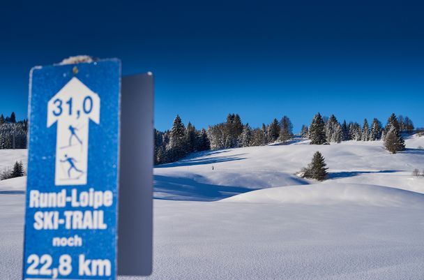 Rundloipe Ski-Trail