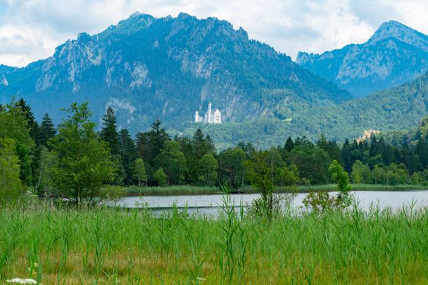 Heilklimawanderung: Alpsee und Schwansee