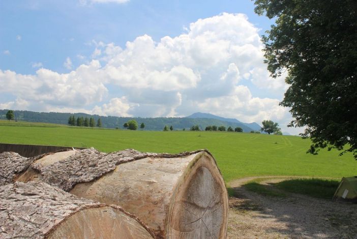 Ausblick vom Biohof