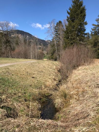 Vorbei am Bach