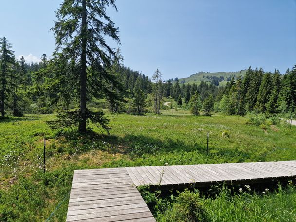 Am Pavillon im Birkachmoor mit Blick Richtung Höllritzereck und Bleicherhorn