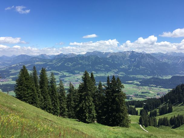 Ausblick Allgäuer Alpen