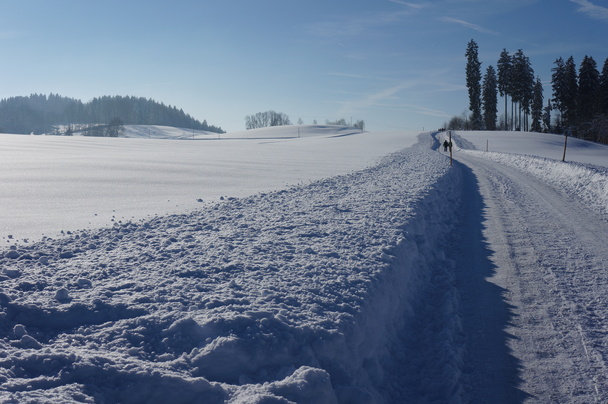 Winterwanderweg beim Gasthaus Grenze