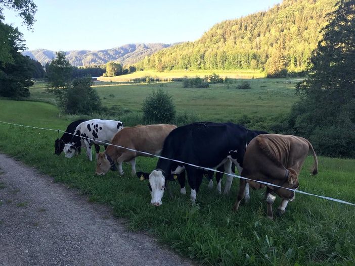 Unser Allgäu