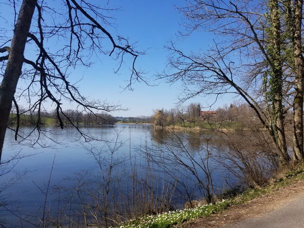 Badesee Großweiher bei Röhrenmoos