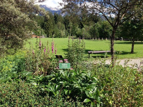 Lustwandeln und die frische Luft genießen