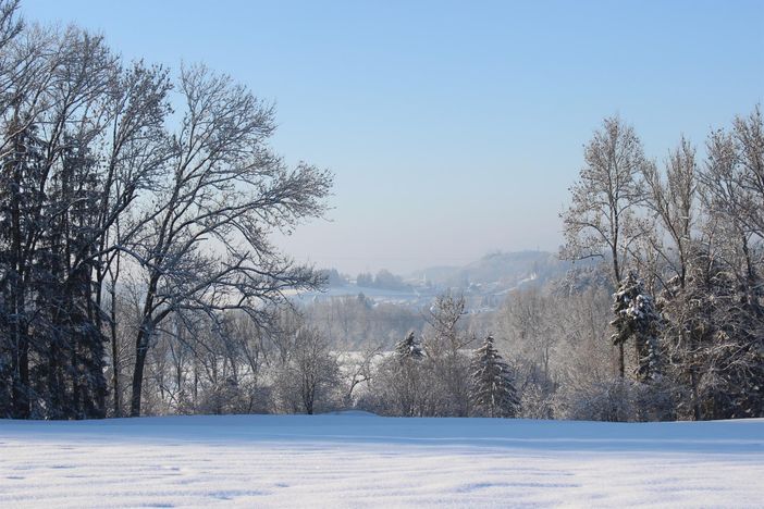 Blick nach Neuravensburg