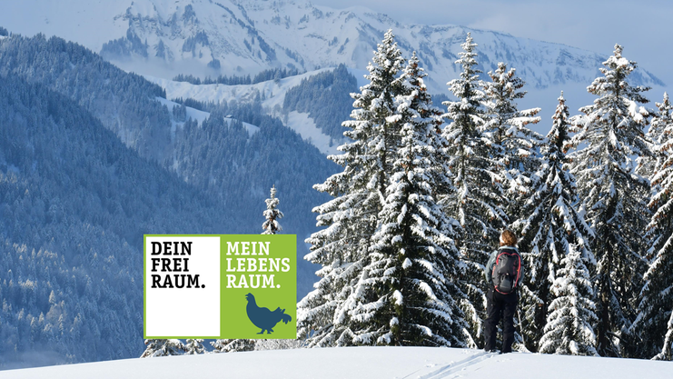 Von Balderschwang auf den Heidenkopf