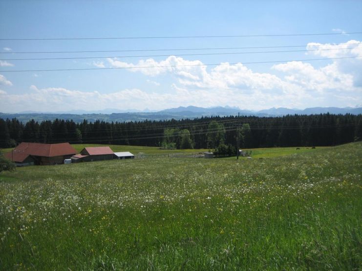 Schöne Wiesen und Panoramablick bei Hellengerst