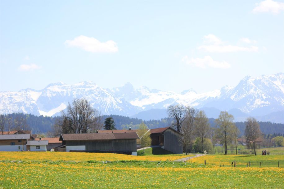 Bergblick vom Milchviehstall