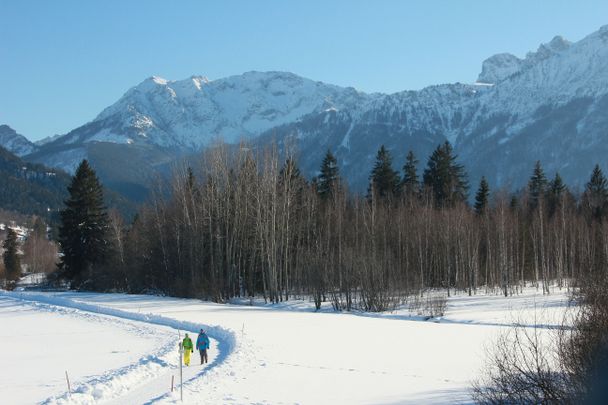 Winterwandern auf der Berger Moosrunde