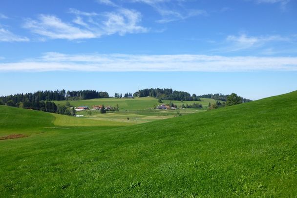 Senke 835 m N-Blick Westlicher Oberberg