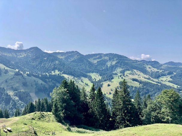 Blick auf die Nagelfluhkette vom Prodel