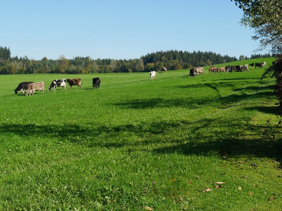 Blick aus dem Schlafzimmer