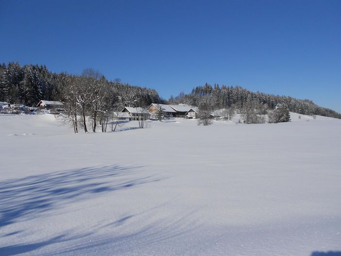 Winter im Allgäu