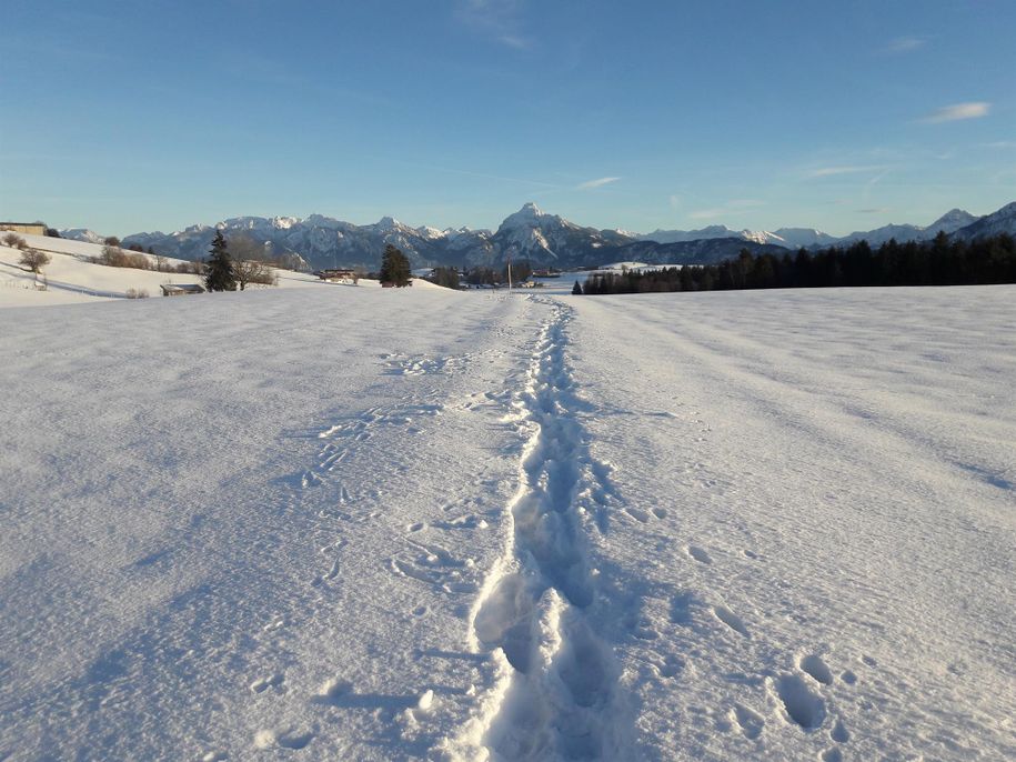 Wanderweg im Schnee