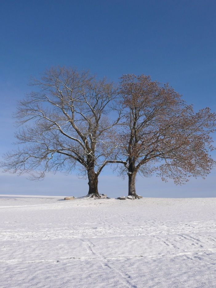 Winterlandschaft