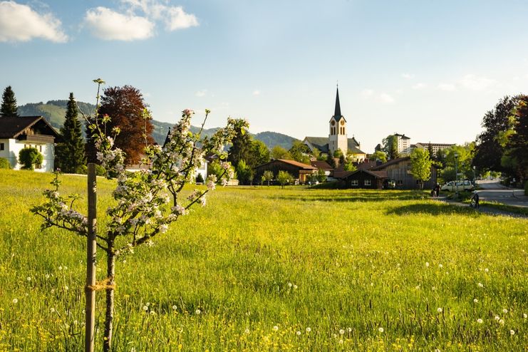 Blick auf die Kirche St. Peter und Paul