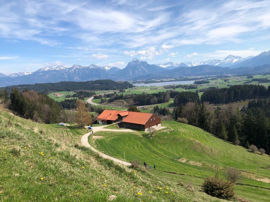 Alpe Beichelstein