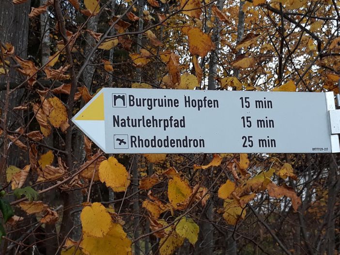 Burgruine mit wunderschönem Ausblick in 15 Minuten