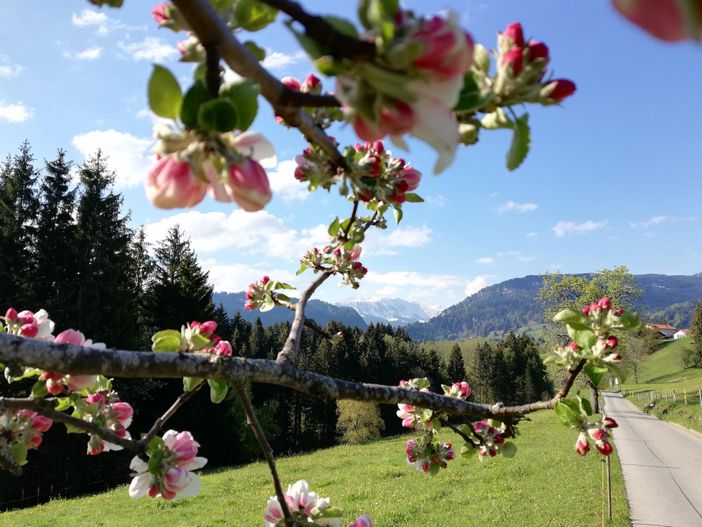 Frühling