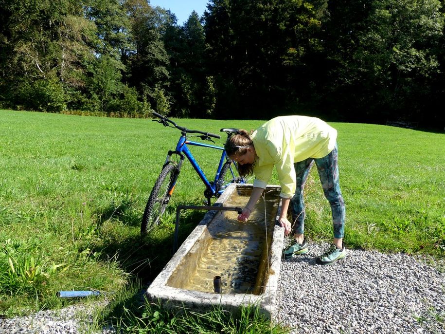 Bike- und Wanderparadies direkt ab dem Hof