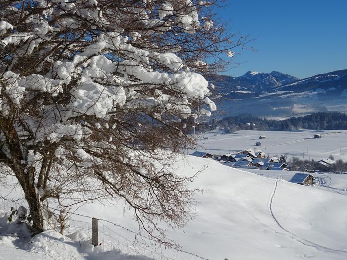 im Winter mit Blick auf Sonderdorf