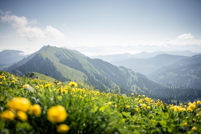 Oberstaufen Tourismus - Nico Bogenreuther_Naturpar