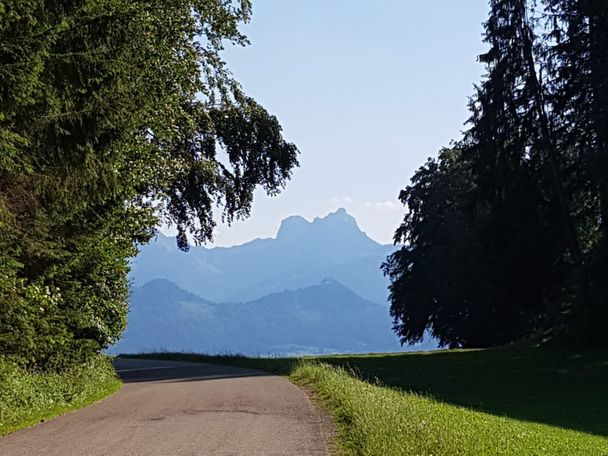 Blick Richtung Aggenstein - Aussicht bei Langegg