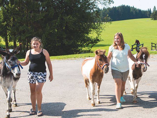 Unsere Tiere auf dem Breyerhof