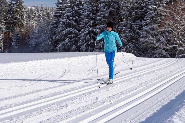 Loipenverlauf am Rand des Gschwendwaldes