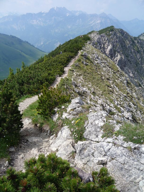 Der schmale Weg führt zum Iseler