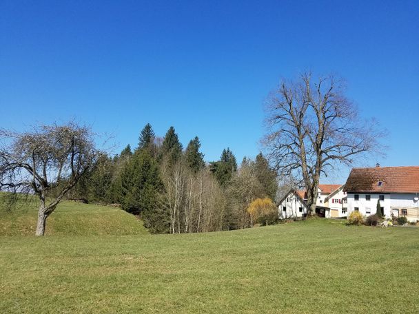 Allgäuer Höfe bei Weihers