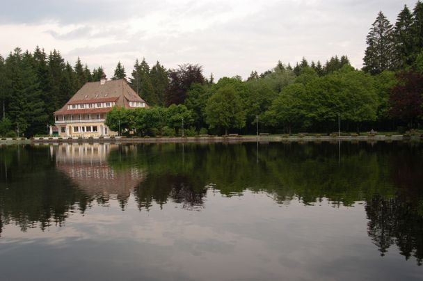 Wandern am Waldsee in Lindenberg