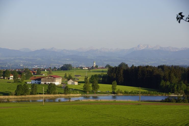 Sachsenrieder Weiher