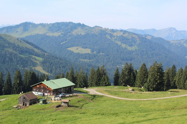 Alpe Oberbalderschwang