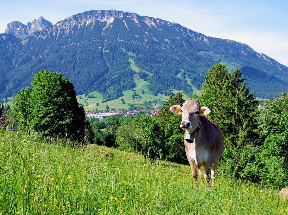 Pfronten mit Breitenberg