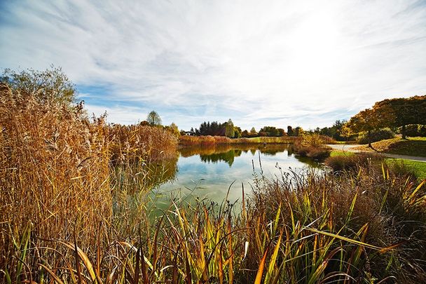 Zum Wörishofer See mit Naturlehrpfad an der Wertach