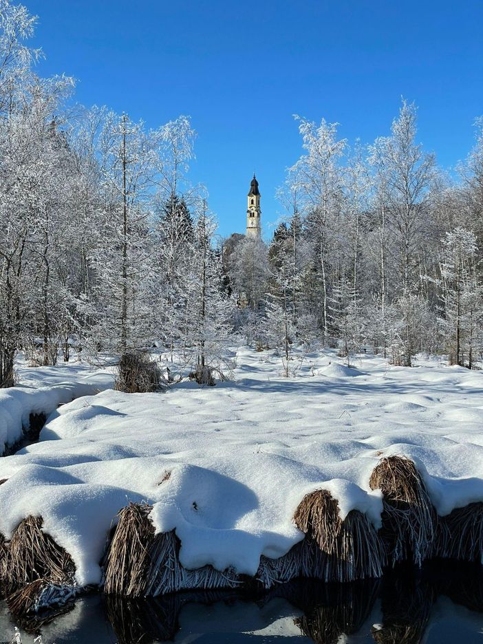 Moorrunde (Wanderweg)