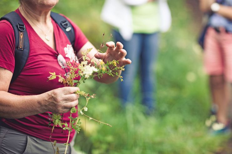 Wildkräuterführung Heidi Prinz