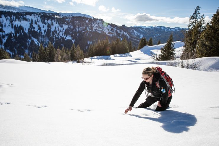 Rangerin zeigt auf Tierspuren im Schnee